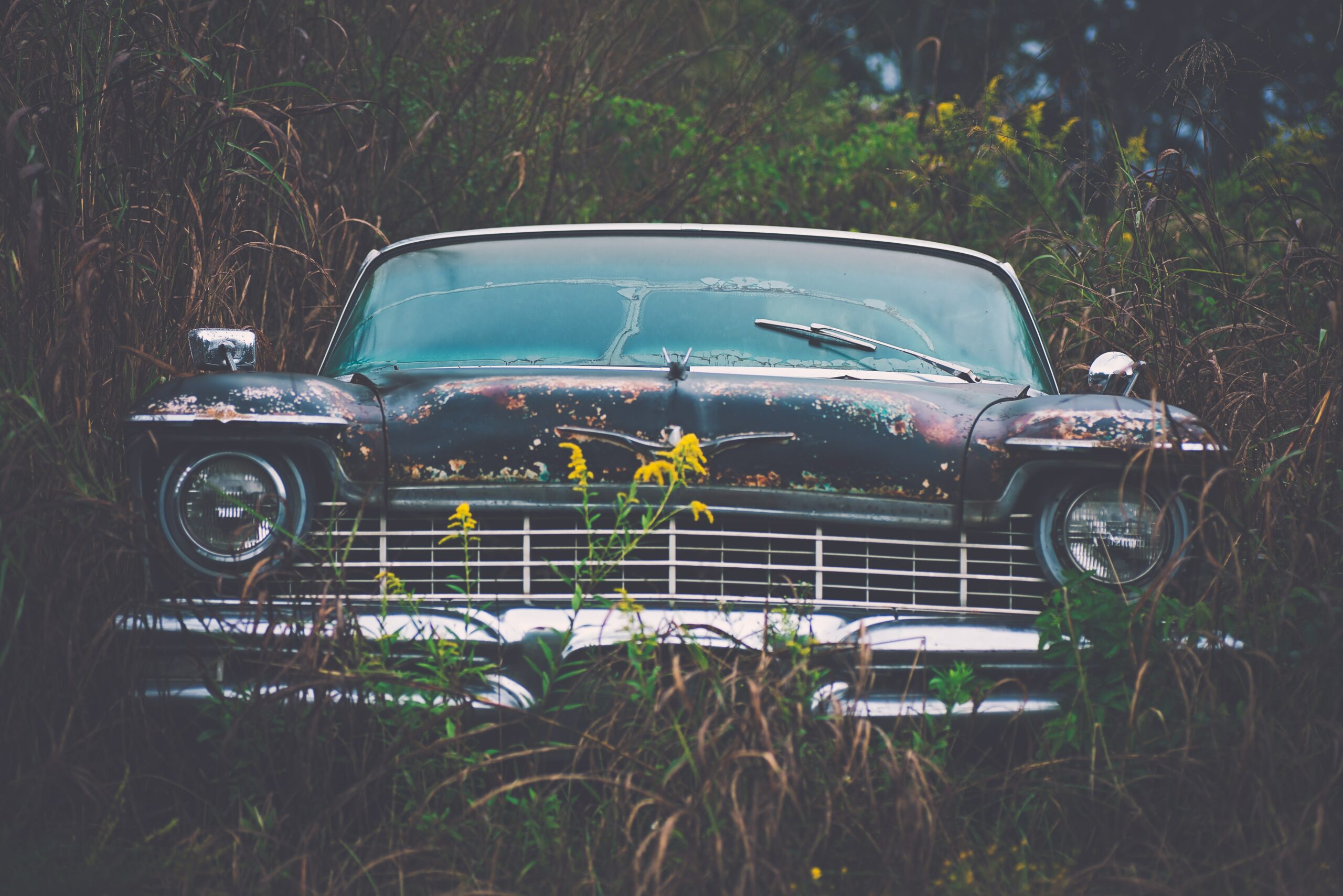 expired regestration junk car
